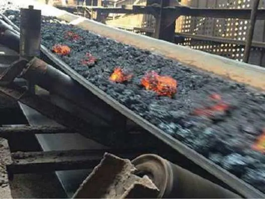 Conveyor Belt Tahan Panas untuk suhu tinggi Rexline Engineering